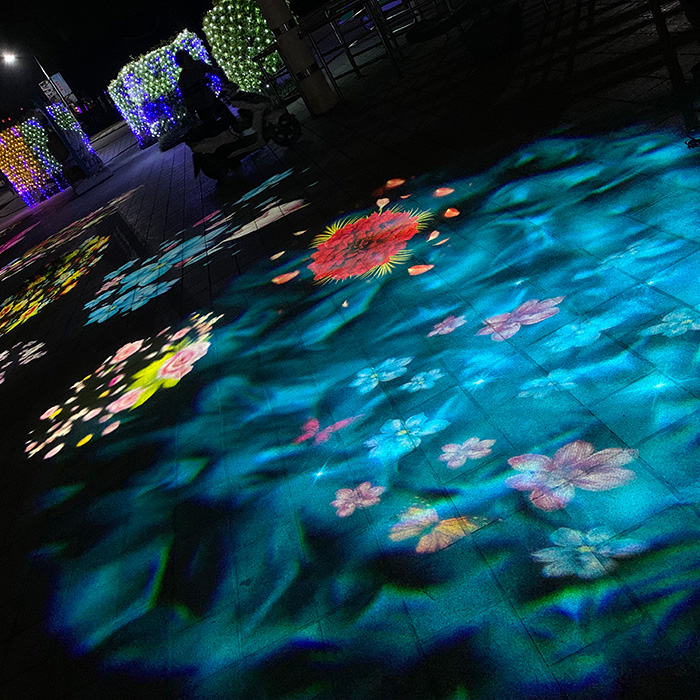  logo projectors to project some fish or lotus together with the water projection