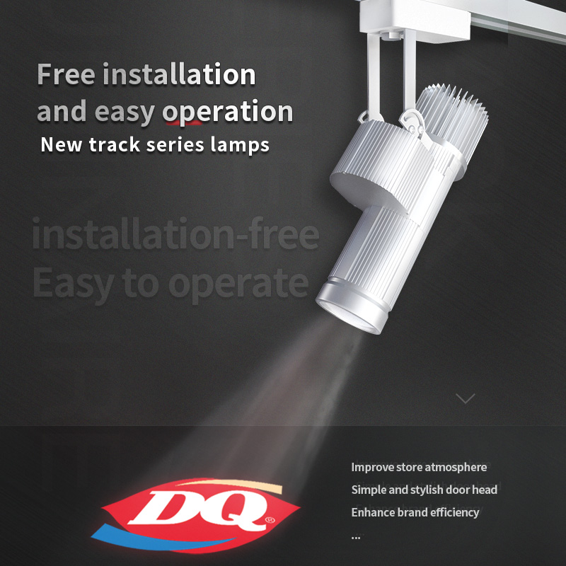 gobo projection rail light with guide