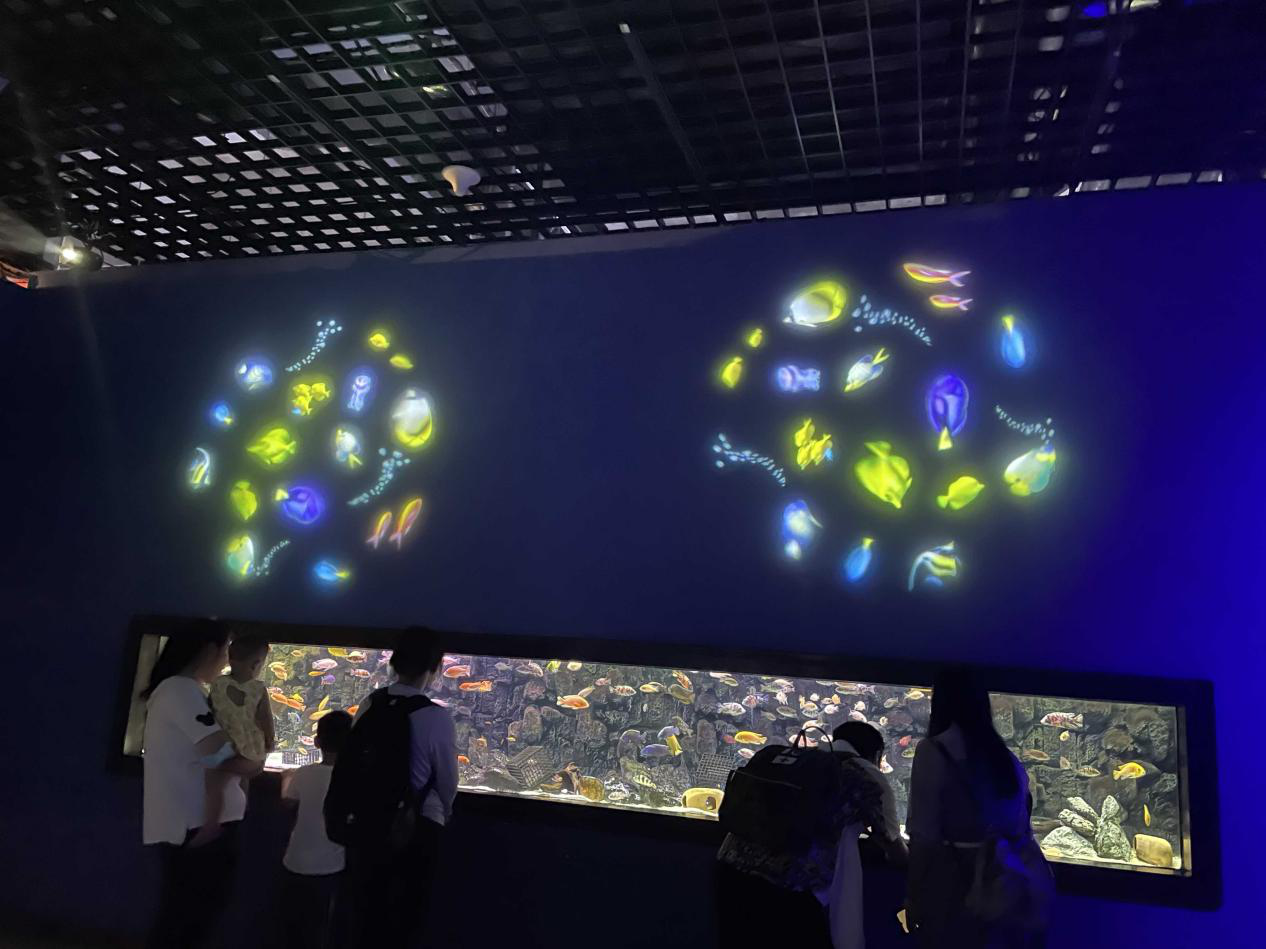 Tianjin Haichang Polar Marine park will further upgrade the lighting