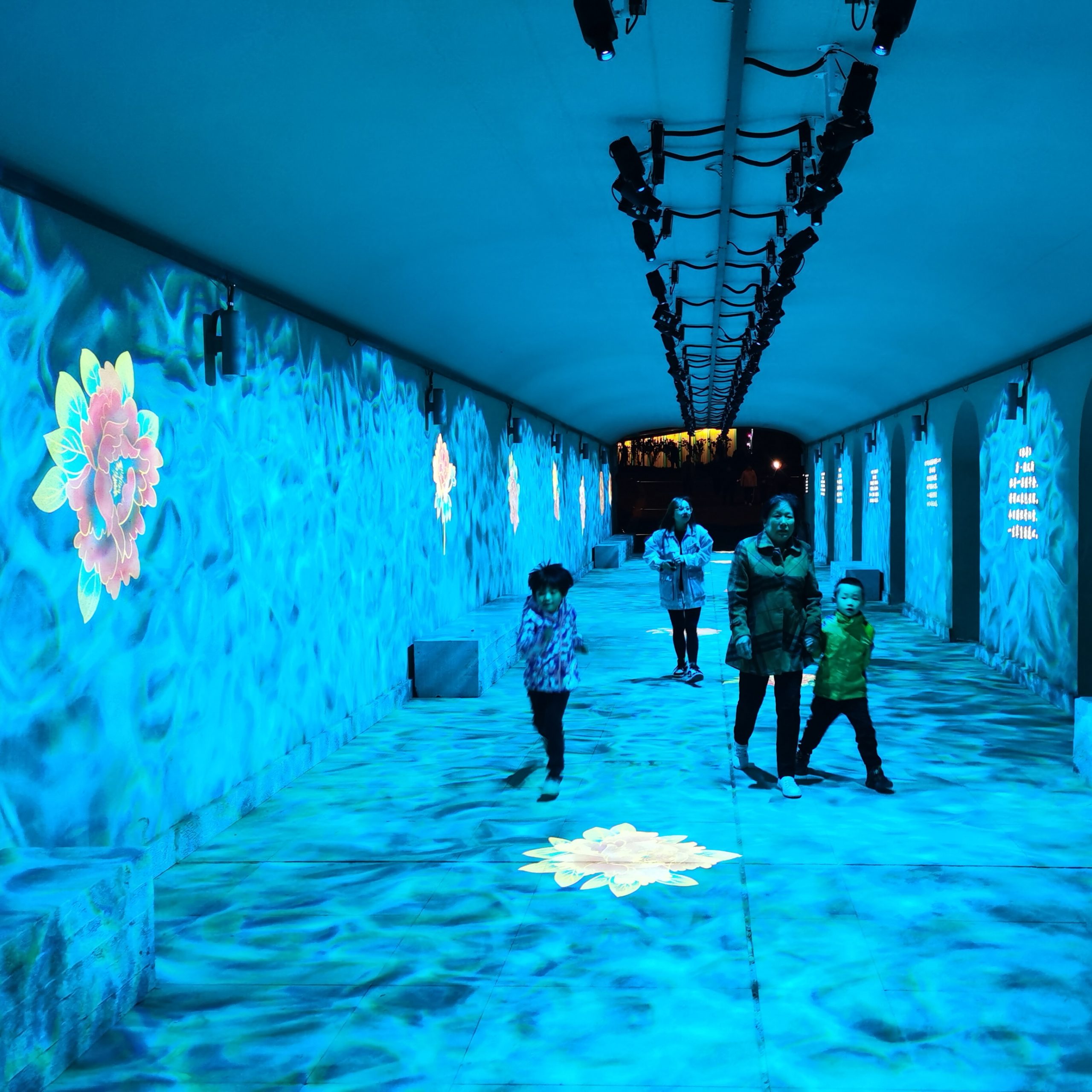The story of Yan’an Peony Garden and Noparde projector