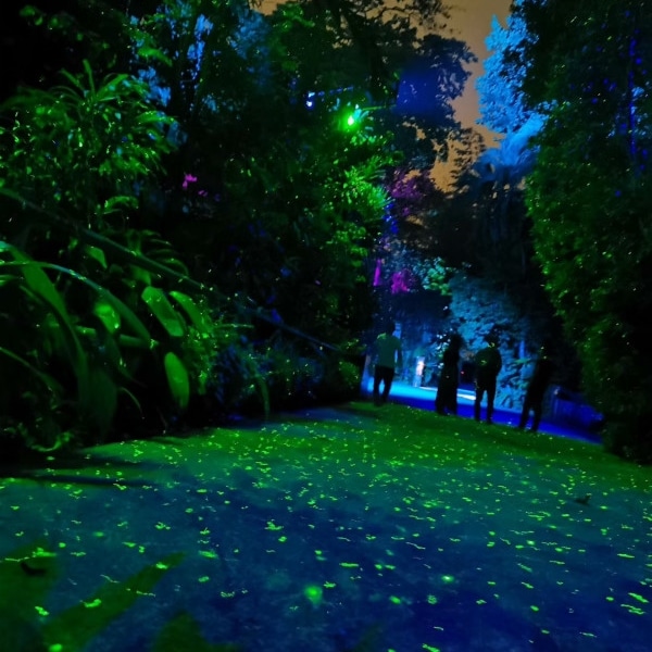 Lighting projector manufacturer– landscape lighting projection
