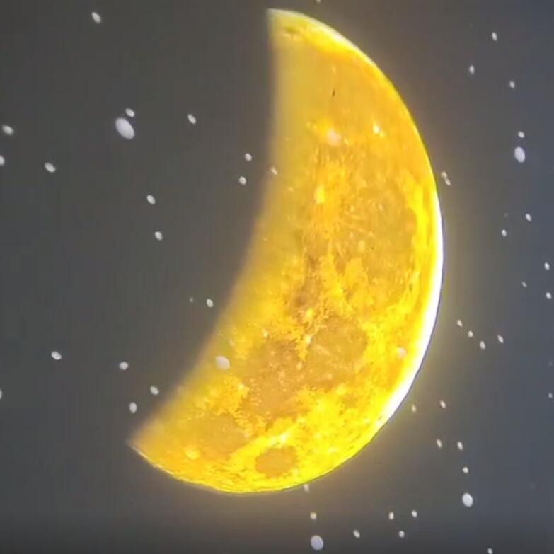 Do you like the lunar eclipse special effects projection lamp?